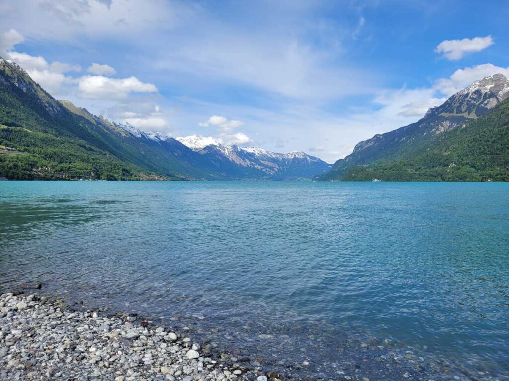 schwemmholz-sammmeln-brienzersee