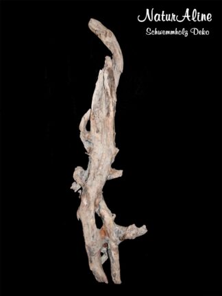 schwemmholz-stueck-970