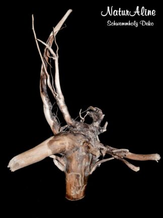 schwemmholz-stueck-971